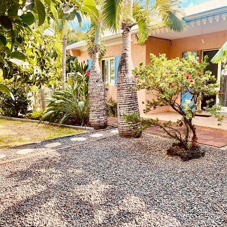 Villa L'Oasis Saint Pierroise Et Son Jacuzzi Esterno foto